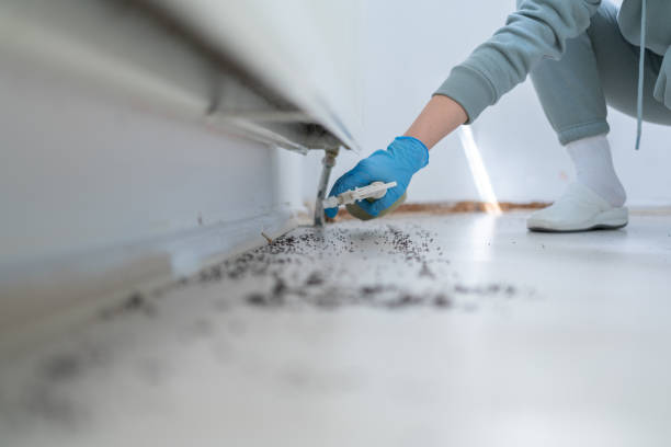 Best Commercial Pest Control Services  in Heathcote, NJ
